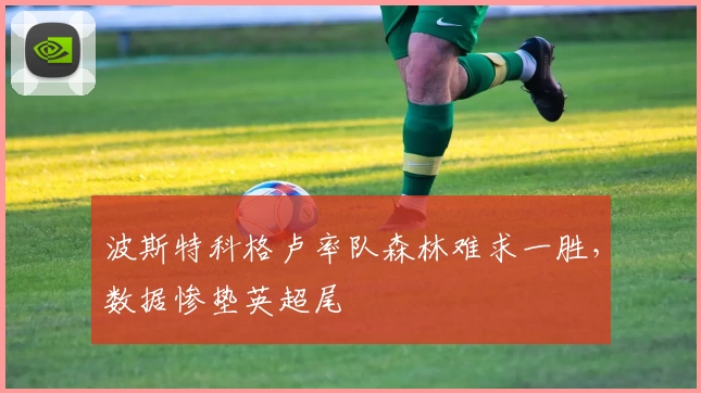 波斯特科格卢率队森林难求一胜，数据惨垫英超尾